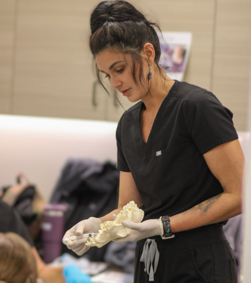 Intro to Veterinary Dentistry, Anesthesia, & Radiology for Technician